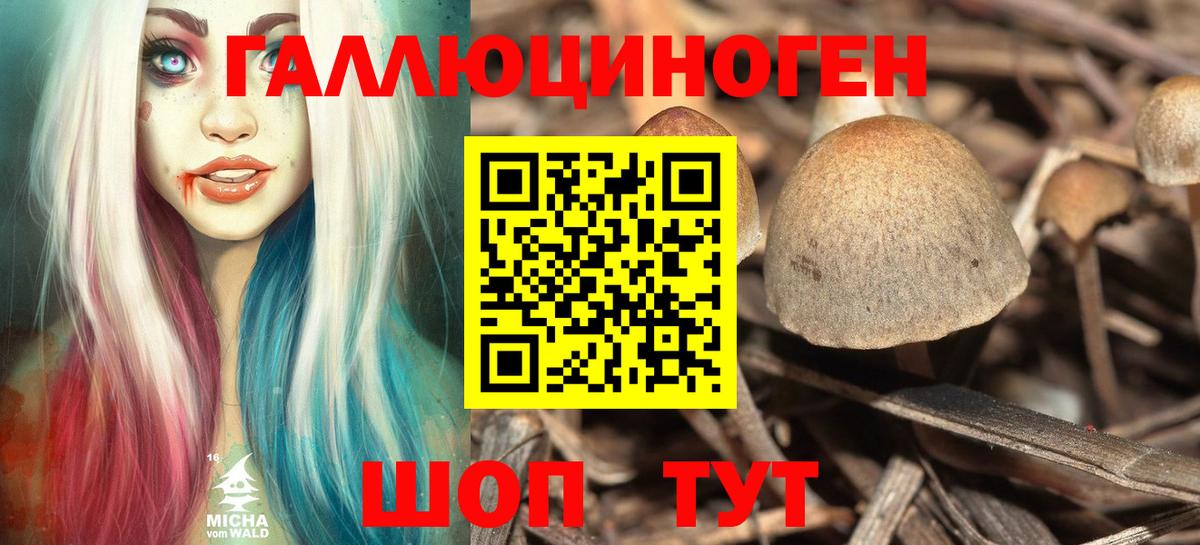 Псилоцибиновые грибы мухоморы  Вход с VPN  Псилоцибиновые грибы Psilocybine cubensis  Севастополь 