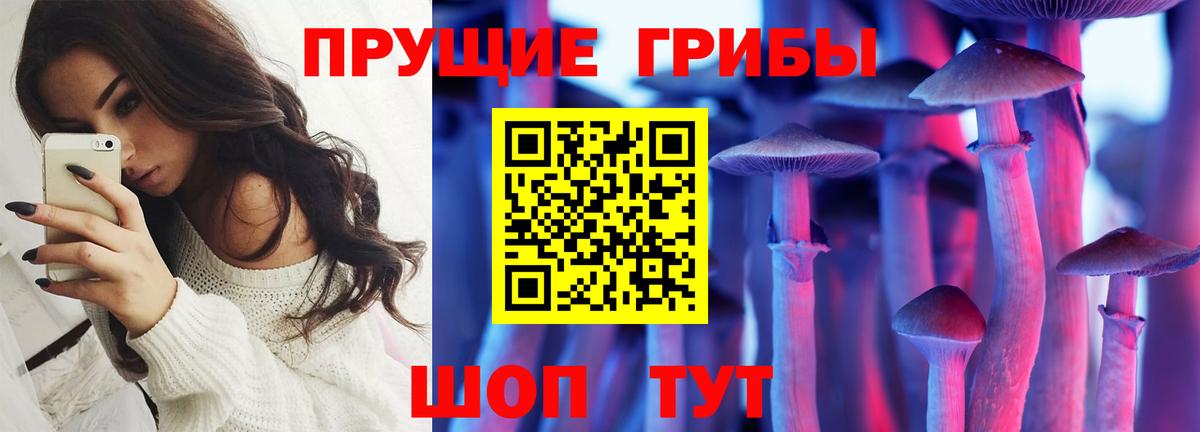 Галлюциногенные грибы Psilocybine cubensis Севастополь